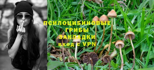 дживик Армянск