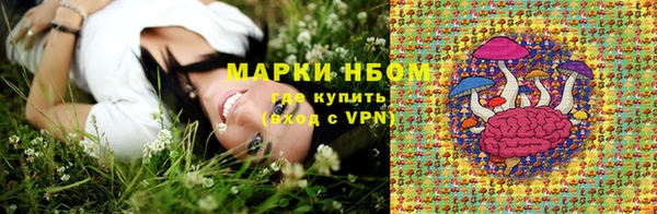 ПСИЛОЦИБИНОВЫЕ ГРИБЫ Аркадак