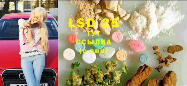ПСИЛОЦИБИНОВЫЕ ГРИБЫ Аркадак