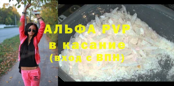 ПСИЛОЦИБИНОВЫЕ ГРИБЫ Аркадак