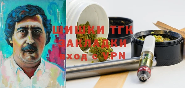 ПСИЛОЦИБИНОВЫЕ ГРИБЫ Аркадак