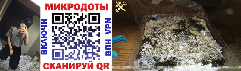 хочу наркоту  Сердобск  Псилоцибиновые грибы прущие грибы 
